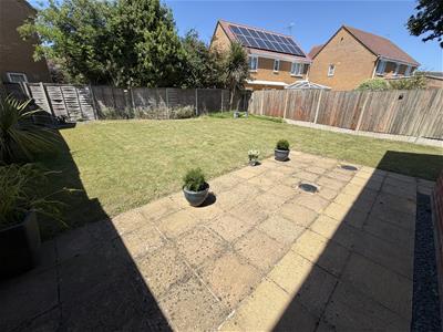Picture 14